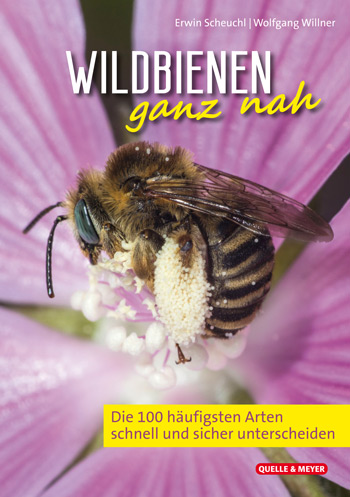 Das Titelbild zeigt in Großaufnahme eine Biene, die in einer lilafarbenen Blüte sitzt und Pollen sammelt.