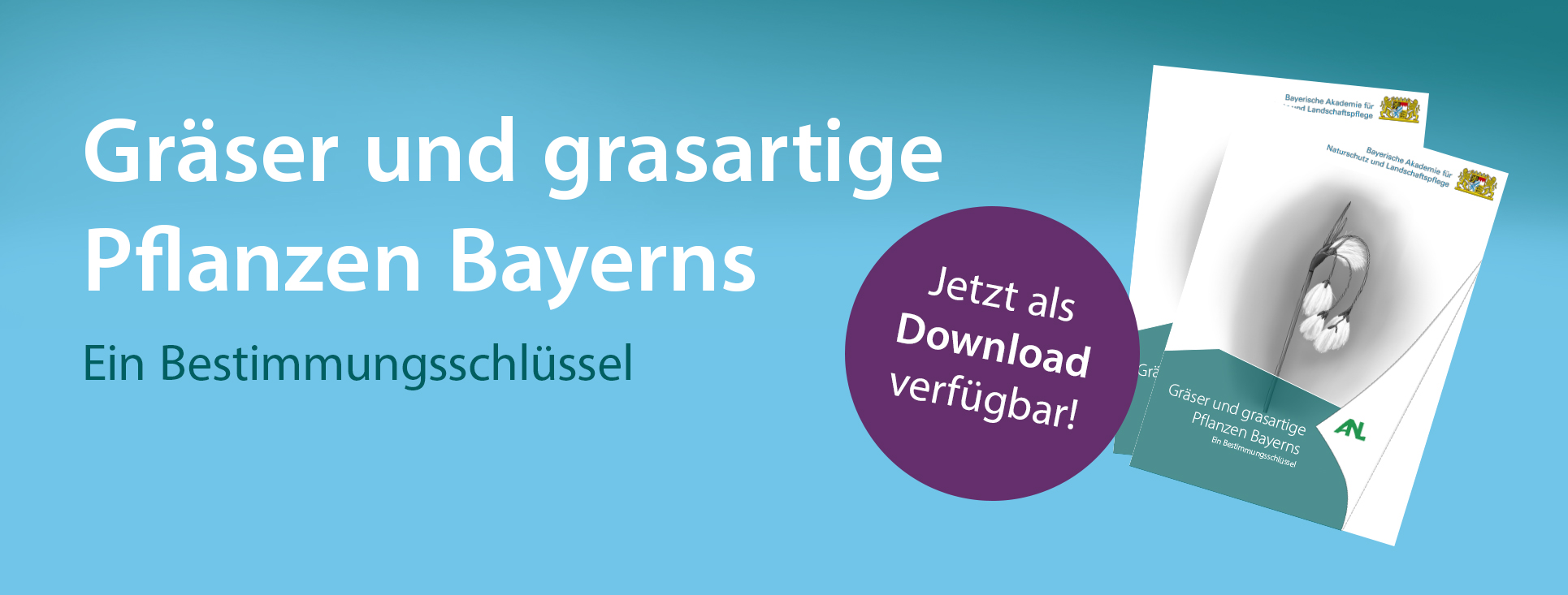 Link zu Gräserbestimmung Titelbild Gräaserbestimmung