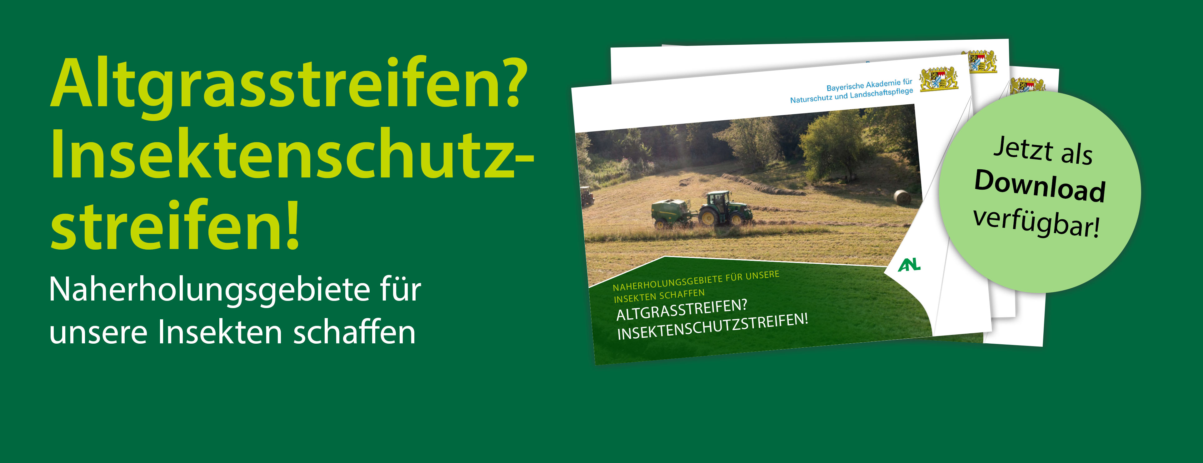 Titelbild von Merkblatt Insektenschutzstreifen