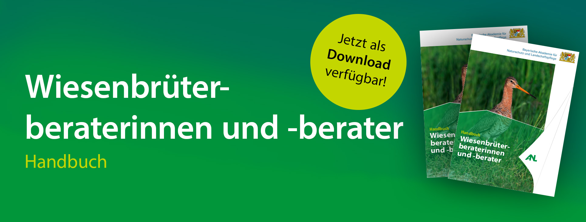 Link zum Wiesenbrüterhandbuch Titelbild Wiesenbrüterhandbuch