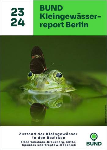 Die Abbildung zeigt das Titelbild des Kleingewässerreports. Auf dem Foto schaut ein Frosch aus dem Wasser, auf dem ein Schmetterling sitzt.